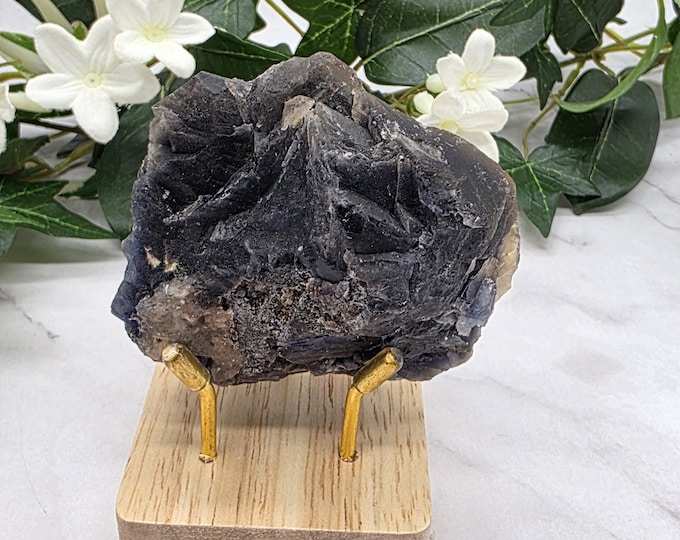Pakistan Black Rose Fluorite Cluster | UV Reactive Crystal Specimen (Wood Stand)