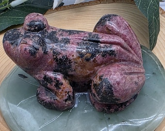 Hand Carved Rhodonite Frog on Aventurine Lily Pad: Metaphysical Decor