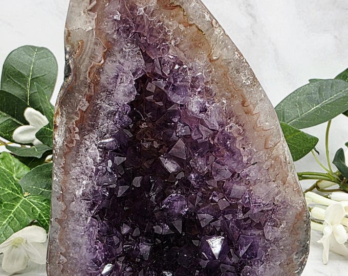 Uruguayan Amethyst Geode with Ocean Jasper Shell | Crystal Cave Cut Base | Rare Collector Healing Stone | February Birthstone