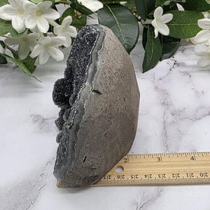May include: A dark gray geode with a rough, textured exterior and a sparkling, dark interior. The geode is approximately 4 inches tall and is displayed with white flowers and green leaves.