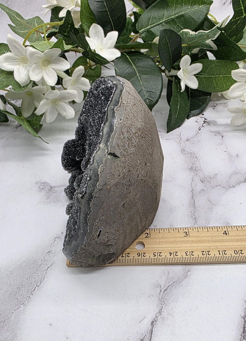 May include: A dark gray geode with a rough, textured exterior and a sparkling, dark interior. The geode is approximately 4 inches tall and is displayed with white flowers and green leaves.