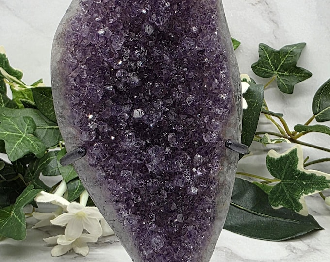 Natural Uruguay Amethyst Druzy on Stand | Deep Purple Crystal Display Specimen | February Birthstone