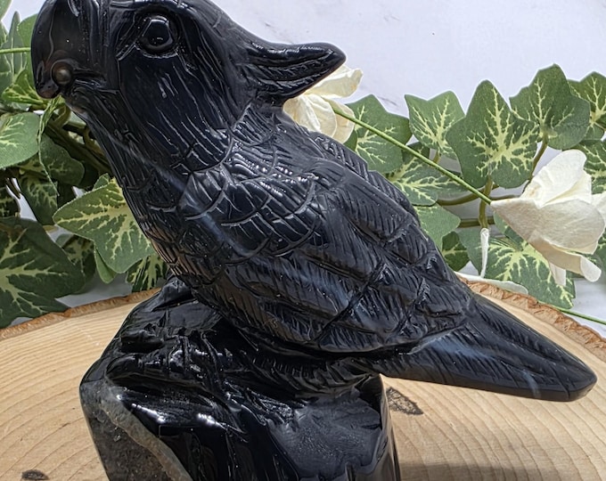 Hand-Carved Black Druzy Agate Parrot: Crystal Bird Figurine
