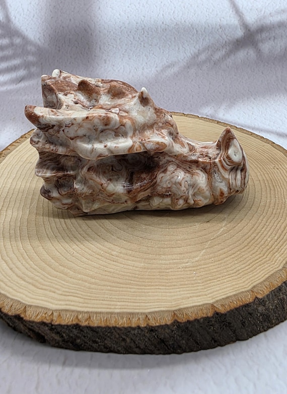 Amber Calcite Dragon Skull: Hand Carved Crystal Guardian