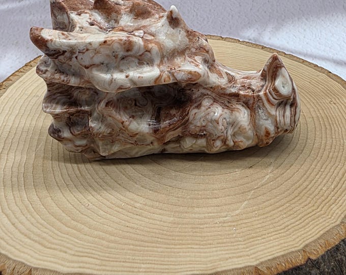 Amber Calcite Dragon Skull: Hand Carved Crystal Guardian
