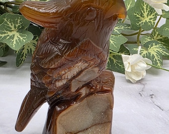 Hand Carved Carnelian Parrot: Druzy Crystal Bird Figurine