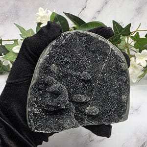 May include: A dark, sparkling black geode crystal with a rough, textured surface. The crystal is held in a black gloved hand, with white flowers and green leaves in the background. The geode has a rounded shape.