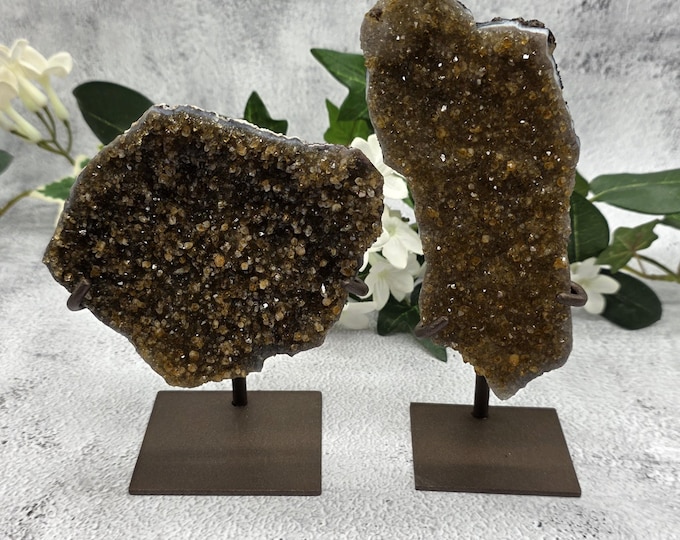 Uruguay Citrine Druzy Specimen Set on Metal Stands • Golden Heat Treated Amethyst • Natural Crystal Decor • Citrine Cluster Display Pair