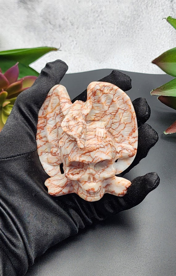 Red Vein Jasper Crystal Skull With Dragon, Skull And Crossbones, Gothic Elegance, Halloween Decoration, Jasper Skull Decor And Gift