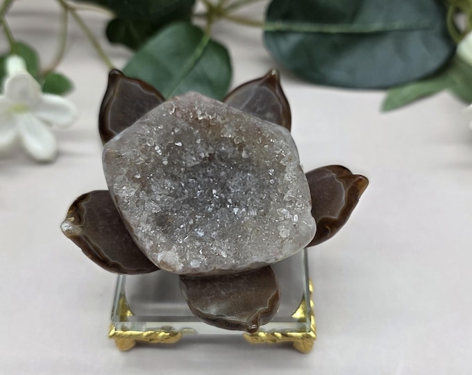 Hand-Carved Druzy Agate Lotus Flower, Natural Quartz Crystal, Glass Display Stand
