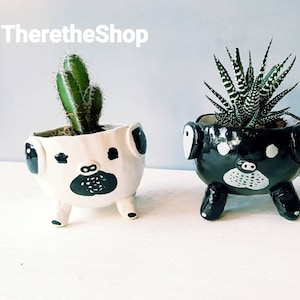 May include: Two ceramic animal planters, one white and one black, with a cute cartoon face. The white planter has a cactus plant and the black planter has a succulent plant.