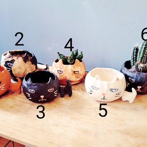 The Big Headed Cat. Ceramic handmade plant pot. Succulent pot. Cactus pot. Grumpy cat. Personalised. Pottery. Terracotta. Custom Gift ideas. image 4