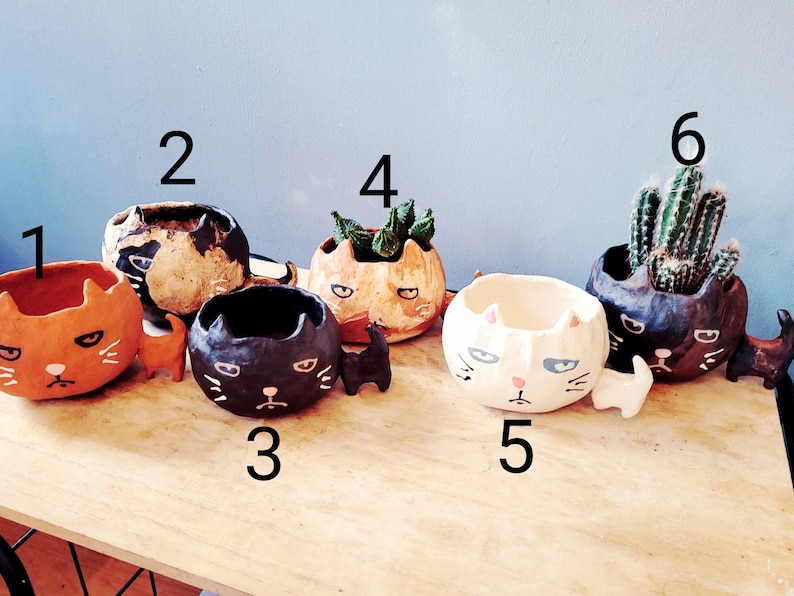 The Big Headed Cat. Ceramic handmade plant pot. Succulent pot. Cactus pot. Grumpy cat. Personalised. Pottery. Terracotta. Custom Gift ideas. image 4