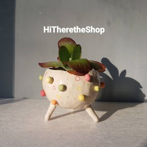 Puede incluir: Una maceta de cerámica blanca con lunares amarillos, rosas y verdes y tres patas. La maceta está llena de una planta suculenta verde.