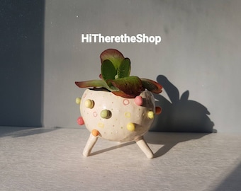 The Multi-coloured Bobbly pot - Ceramic succulent pot, handmade planter, cactus pot, plant pot, home studio pottery, hanging pot.