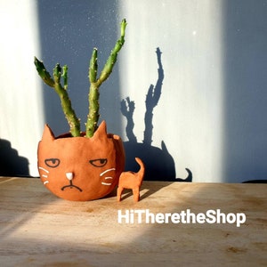 The Big Headed Cat. Ceramic handmade plant pot. Succulent pot. Cactus pot. Grumpy cat. Personalised. Pottery. Terracotta. Custom Gift ideas. image 9