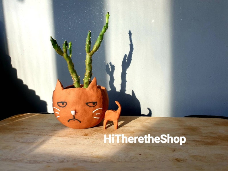 The Big Headed Cat. Ceramic handmade plant pot. Succulent pot. Cactus pot. Grumpy cat. Personalised. Pottery. Terracotta. Custom Gift ideas. image 9