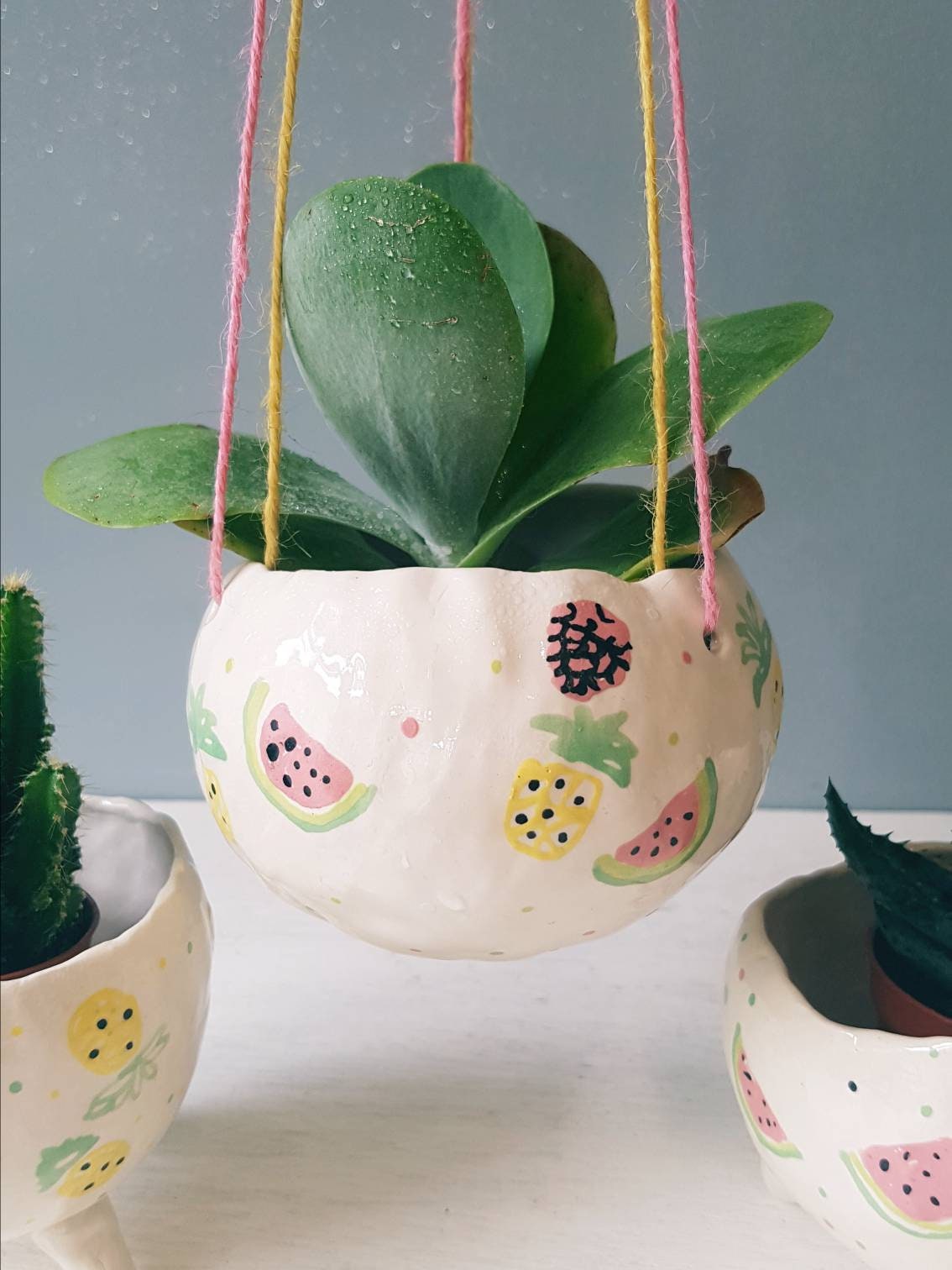 The Fruit Kingdom Collection - Handmade Ceramic Planters