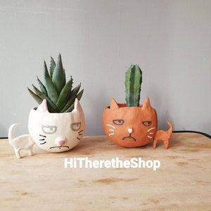 The Big Headed Cat. Ceramic handmade plant pot. Succulent pot. Cactus pot. Grumpy cat. Personalised. Pottery. Terracotta. Custom Gift ideas. image 10