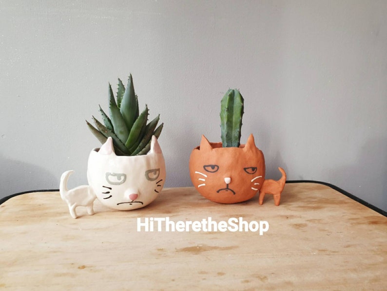 The Big Headed Cat. Ceramic handmade plant pot. Succulent pot. Cactus pot. Grumpy cat. Personalised. Pottery. Terracotta. Custom Gift ideas. image 10