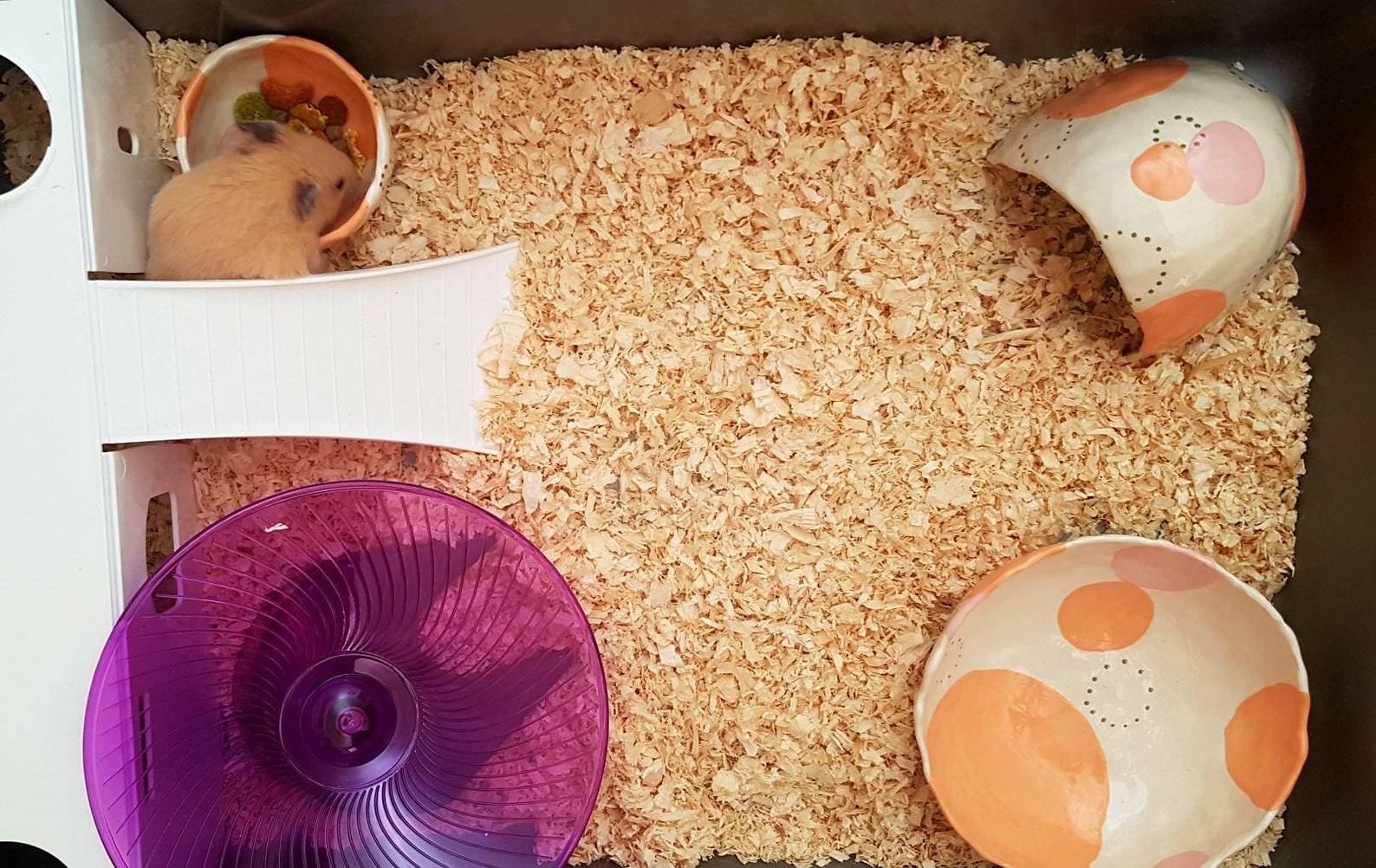 The Hamster Collection Handmade Ceramic hamster house pet Etsy