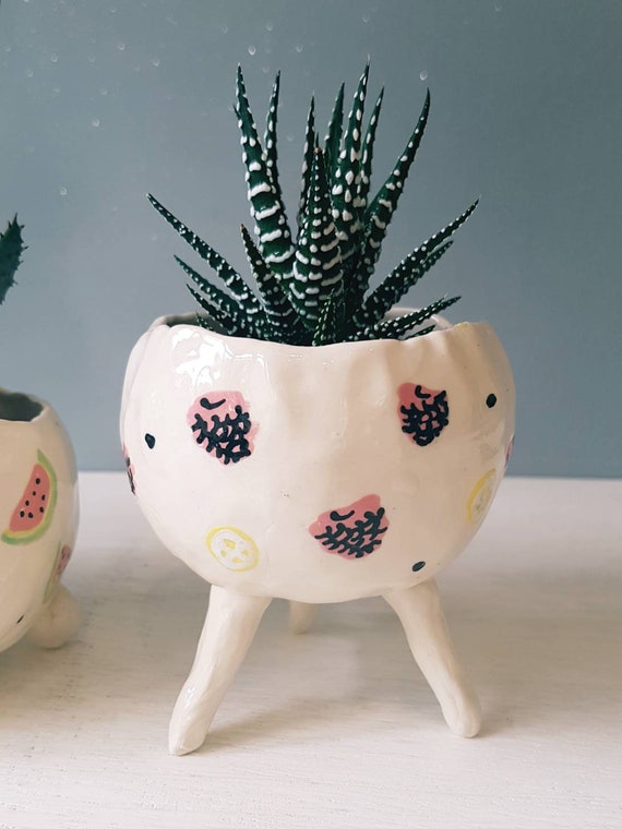 DIY Mini Pinch Pot Planters - A Beautiful Mess