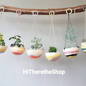 May include: Six hanging planters with colourful striped designs and various green plants. The planters are suspended from a branch with twine.
