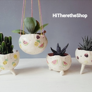 The Fruit Kingdom Collection - Handmade Ceramic planters, succulent pot, cactus pot, indoor outdoor plant pot, pinch pot, gift ideas.