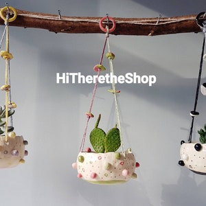 The Bobbly Pot Collection - Ceramic, handmade, succulent pot, hanging planter, cactus pot, plant pot, home studio pottery, pinch pot.