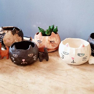 The Big Headed Cat. Ceramic handmade plant pot. Succulent pot. Cactus pot. Grumpy cat. Personalised. Pottery. Terracotta. Custom Gift ideas. image 2
