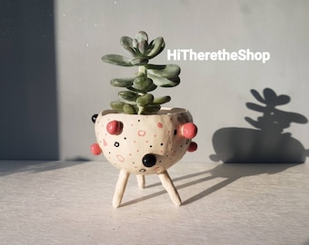 May include: A white ceramic planter with pink and black polka dots and three legs. The planter is filled with a green succulent plant.