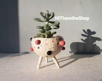 The Bobbly Pot Collection - Ceramic, handmade, succulent pot, hanging planter, cactus pot, plant pot, home studio pottery, pinch pot.