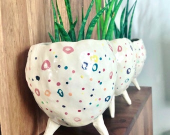 Spotty Dotty-kollektionen - Regnbågens färger. Keramik, suckulentkruka, kaktuskruka, växtkruka, hemmastudiokeramik, heminredningskruka.
