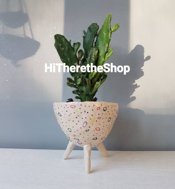 Spotty Dotty コレクション - 虹色。セラミック、多肉植物用ポット