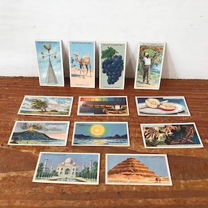 Vintage 1930 Wills „Do You Know“ Zigarettenkarten – (12) bunte Karten