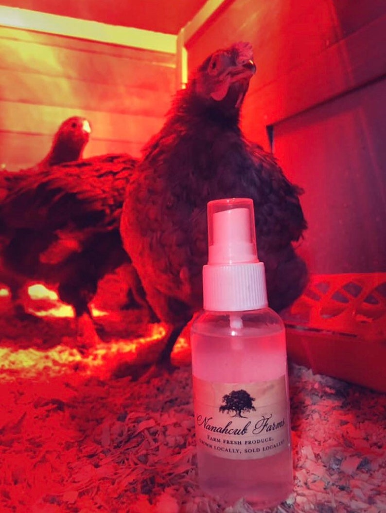 Coop Spray / Chicken Coop Deoderizer Cleaner Fly Repellent Etsy
