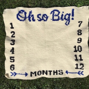 Baby Growth Blanket Crochet Pattern Monthly Growth Baby Milestone Blanket Watch Me Grow Oh so Big Growth Chart Age Blanket image 1