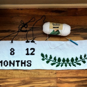 Baby Growth Blanket Crochet Pattern Monthly Growth Baby Milestone Blanket Watch Me Grow Oh so Big Growth Chart Age Blanket image 5