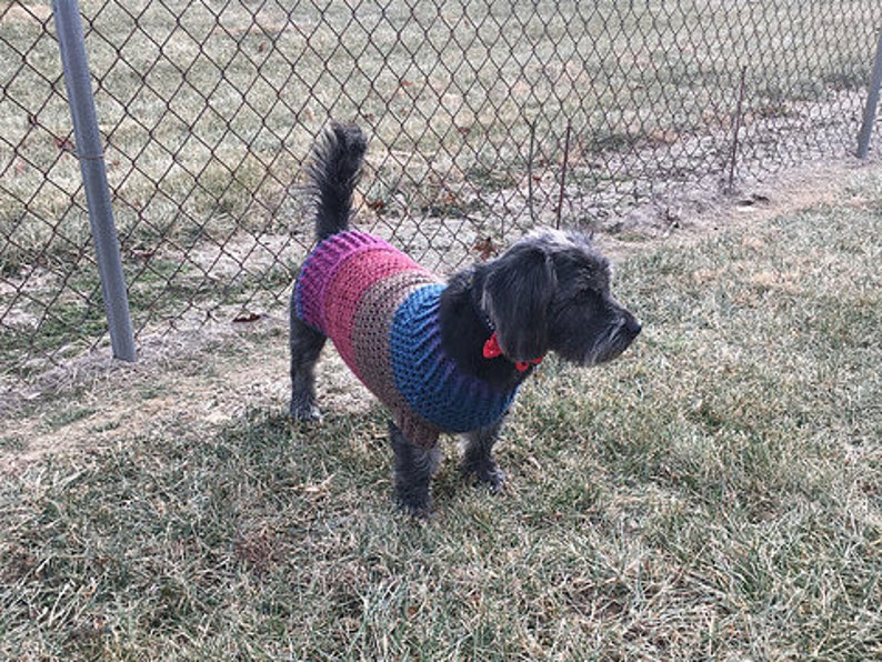 Dog Sweater Crochet Pattern XXS Extra Small Small Medium Etsy