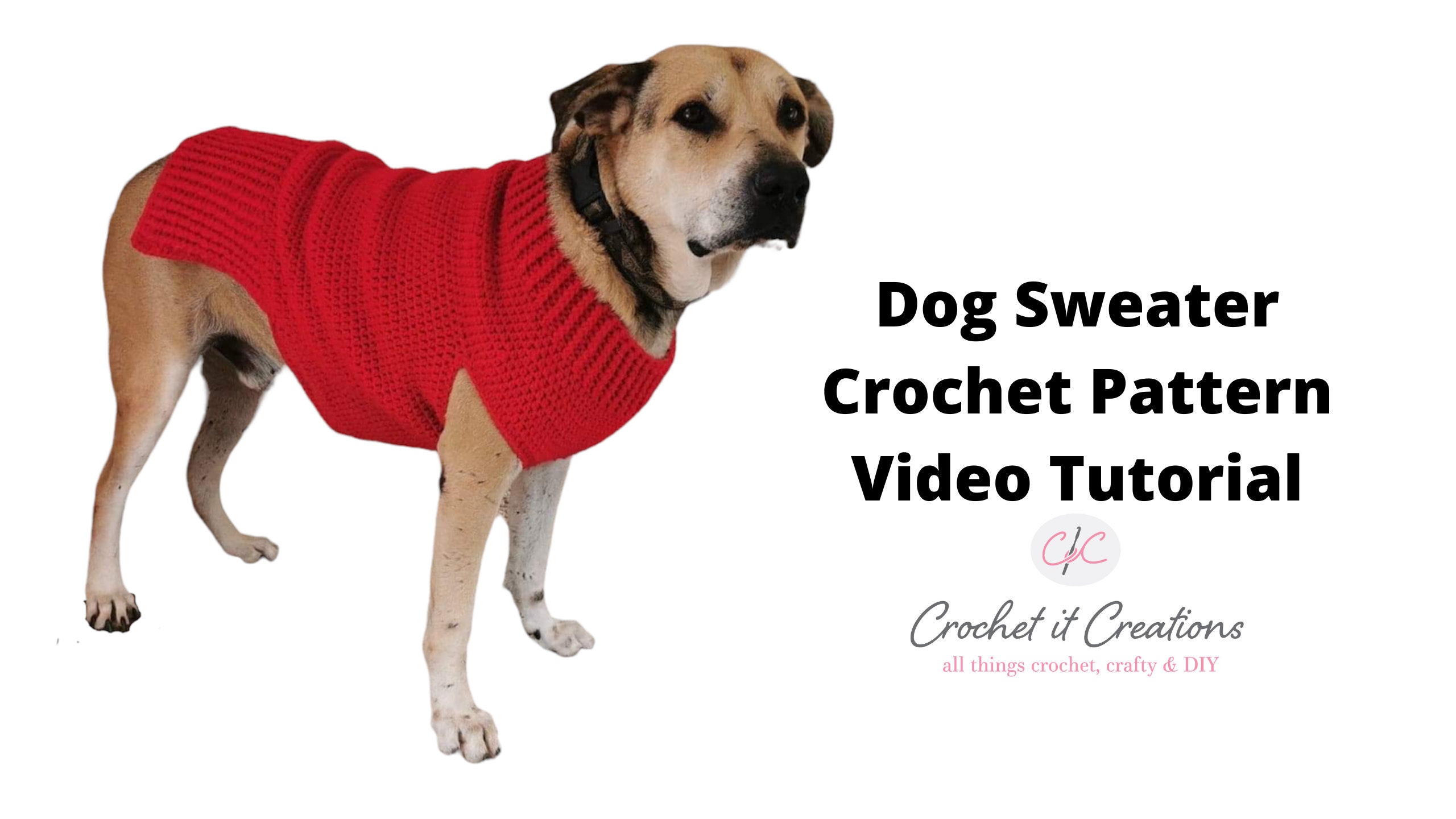 Dog Sweater Crochet Pattern XXS Extra Small Small Medium Etsy