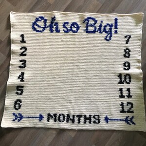 Baby Growth Blanket Crochet Pattern Monthly Growth Baby Milestone Blanket Watch Me Grow Oh so Big Growth Chart Age Blanket image 2
