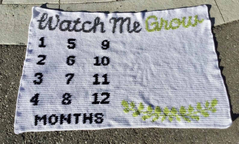 Baby Growth Blanket Crochet Pattern Monthly Growth Baby Milestone Blanket Watch Me Grow Oh so Big Growth Chart Age Blanket image 6