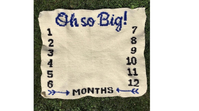 Baby Growth Blanket Crochet Pattern Monthly Growth Baby Milestone Blanket Watch Me Grow Oh so Big Growth Chart Age Blanket image 1