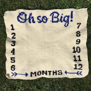 Baby Growth Blanket Crochet Pattern Monthly Growth Baby Milestone Blanket Watch Me Grow Oh so Big Growth Chart Age Blanket image 3