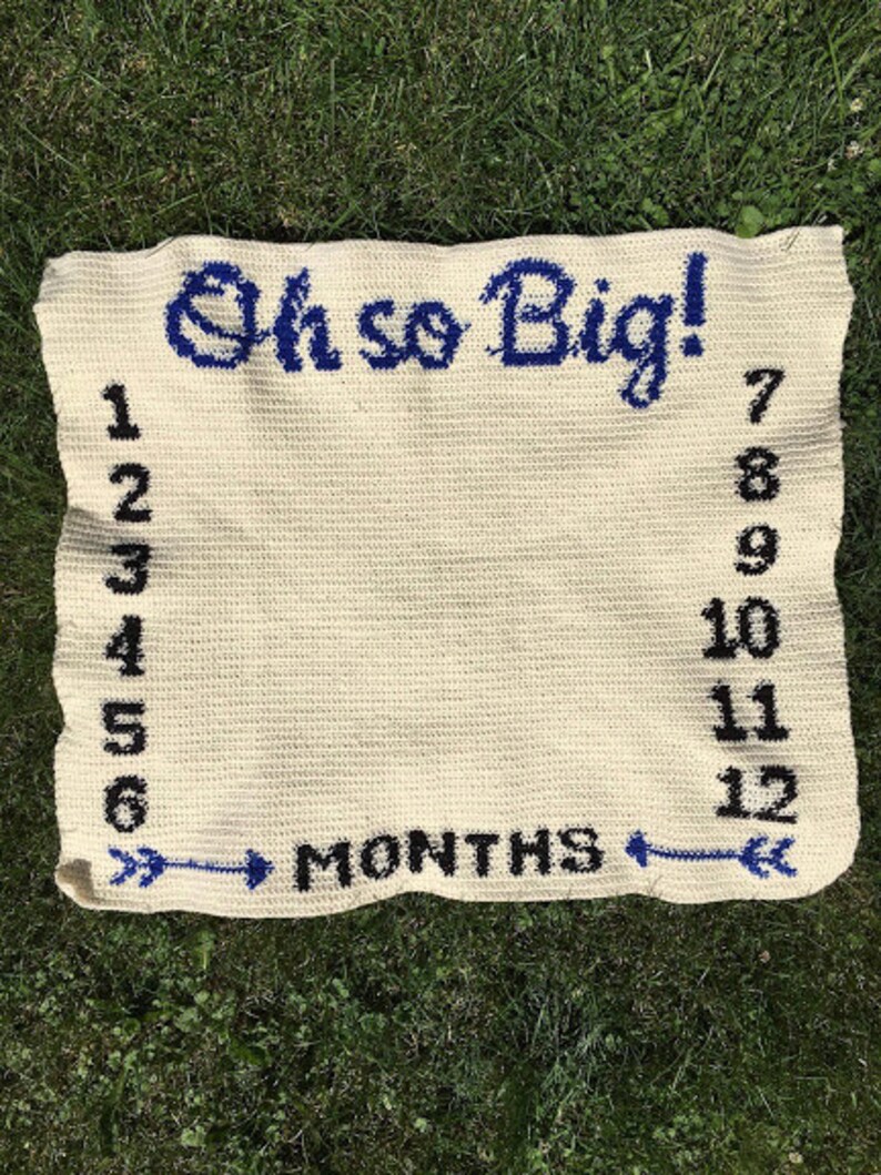 Baby Growth Blanket Crochet Pattern Monthly Growth Baby Milestone Blanket Watch Me Grow Oh so Big Growth Chart Age Blanket image 3