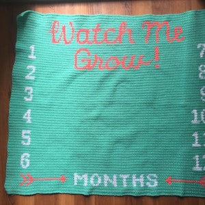 Baby Growth Blanket Crochet Pattern Monthly Growth Baby Milestone Blanket Watch Me Grow Oh so Big Growth Chart Age Blanket image 7