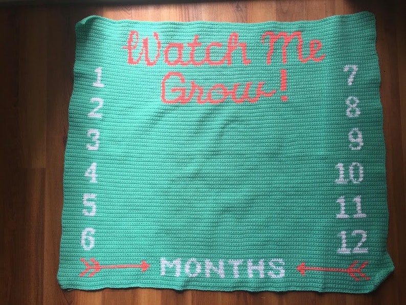 Baby Growth Blanket Crochet Pattern Monthly Growth Baby Milestone Blanket Watch Me Grow Oh so Big Growth Chart Age Blanket image 7