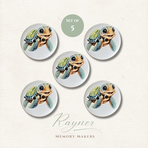 May include: A set of five circular coasters featuring a cartoon sea turtle with a green shell and large eyes. The text SET OF 5 appears in a green circle above the centre coaster. The text Rayner MEMORY MAKERS is printed at the bottom.