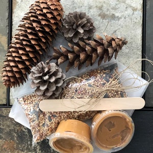 Pine Cones Dried Norway Spruce Pine Cones for Crafting, Decor
