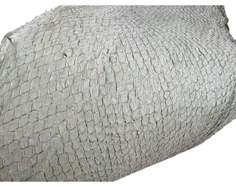 beige off-white coating gold real salmon fish skin Leather piece